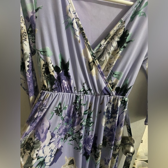 PinkBlush Maternity Dress - Picture 5 of 5